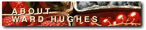 About Ward Hughes Company 